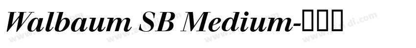 Walbaum SB Medium字体转换